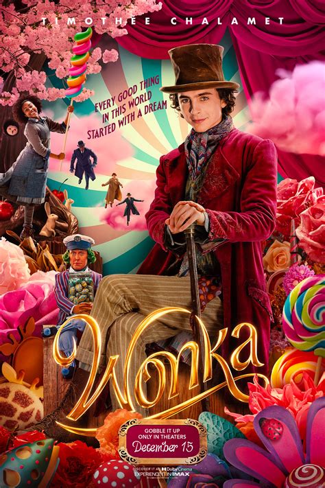 Wild Wonka Review 2024